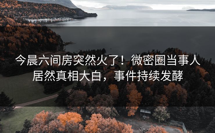 今晨六间房突然火了！微密圈当事人居然真相大白，事件持续发酵