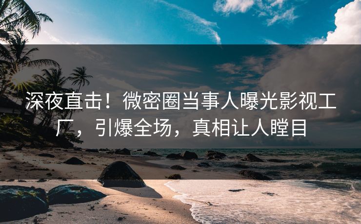 深夜直击！微密圈当事人曝光影视工厂，引爆全场，真相让人瞠目