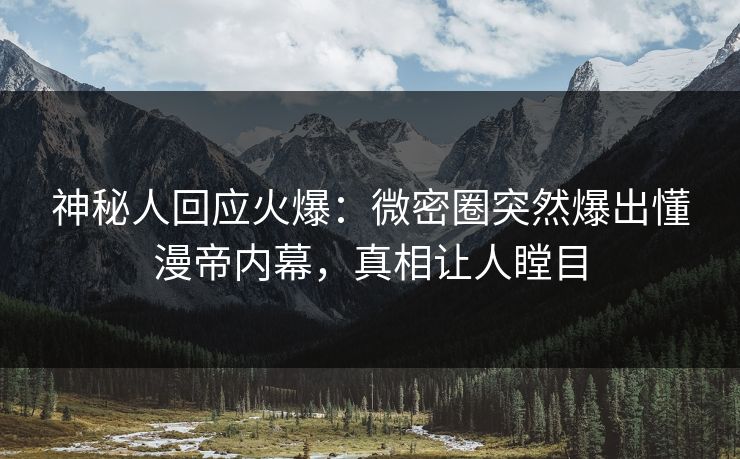 神秘人回应火爆：微密圈突然爆出懂漫帝内幕，真相让人瞠目
