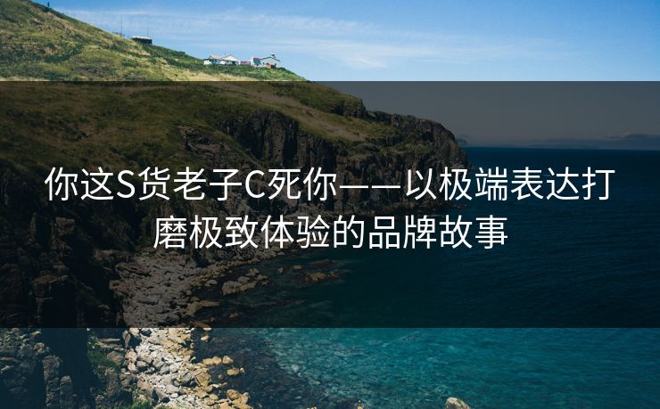 你这S货老子C死你——以极端表达打磨极致体验的品牌故事