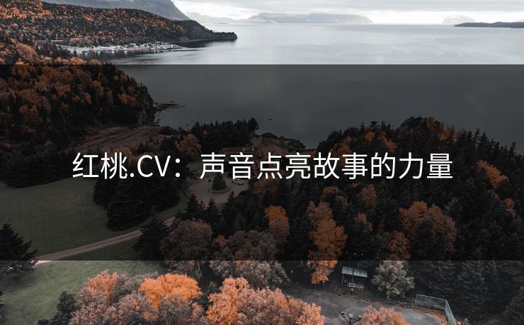 红桃.CV：声音点亮故事的力量