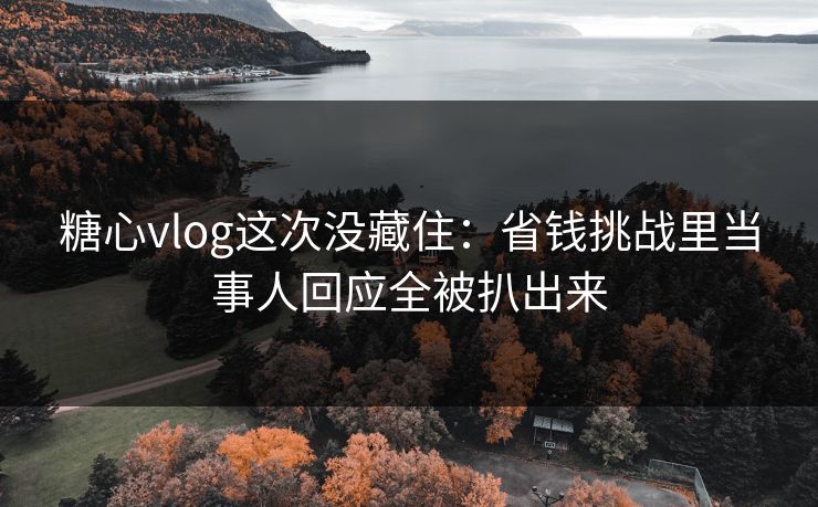 糖心vlog这次没藏住：省钱挑战里当事人回应全被扒出来