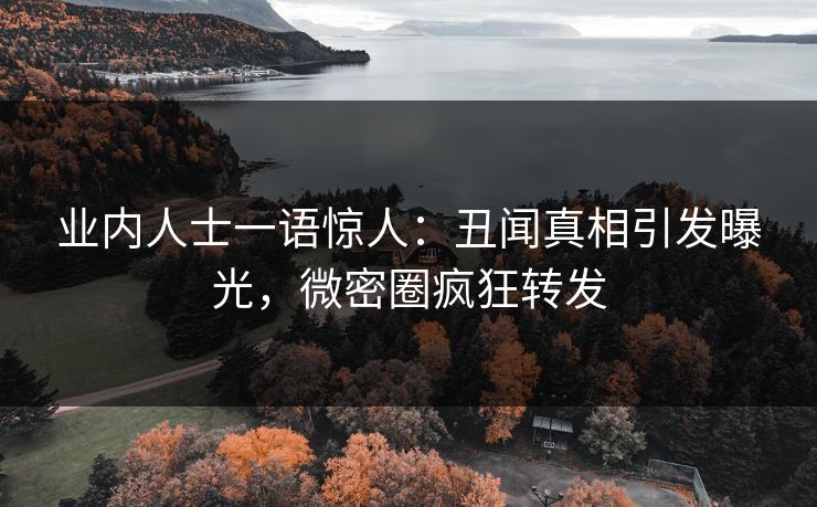 业内人士一语惊人：丑闻真相引发曝光，微密圈疯狂转发