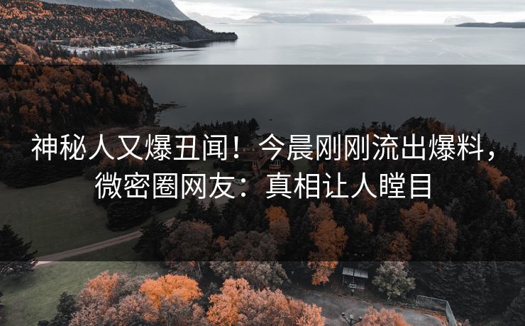 神秘人又爆丑闻！今晨刚刚流出爆料，微密圈网友：真相让人瞠目