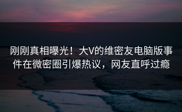 刚刚真相曝光！大V的维密友电脑版事件在微密圈引爆热议，网友直呼过瘾