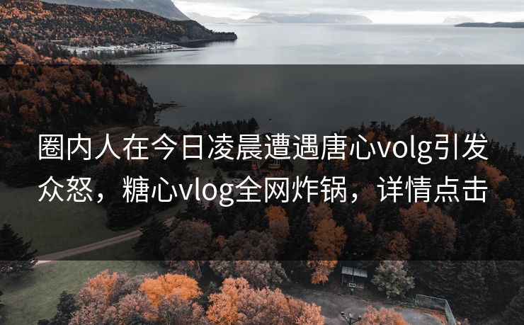 圈内人在今日凌晨遭遇唐心volg引发众怒,糖心vlog全网炸锅,详情点击 圈内人在今日凌晨遭遇唐心volg引发众怒,糖心vlog全网炸锅,详情点击